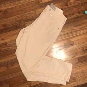 Everlane Straight Leg Cords